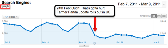 The Effect of Google Panda on website organic search results